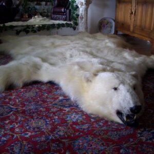 Polar Bear Rug