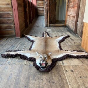 Puma Rug Taxidermy