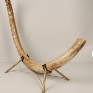 Natural Woolly mammoth tusk