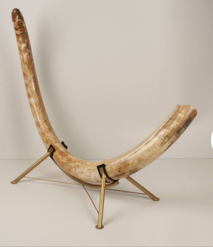Natural Woolly mammoth tusk