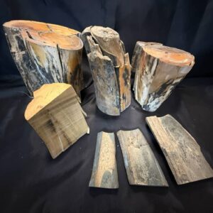Woolly Mammoth Tusk pieces/cuts for ivory carvings