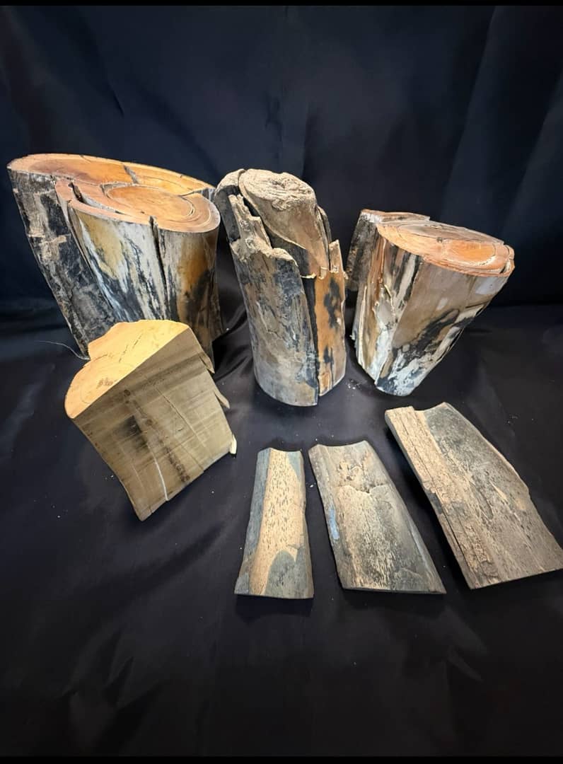 Woolly Mammoth Tusk pieces/cuts for ivory carvings