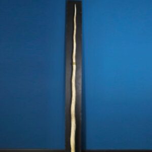 Authentic vintage narwhal tusk dating from the late 1970s
