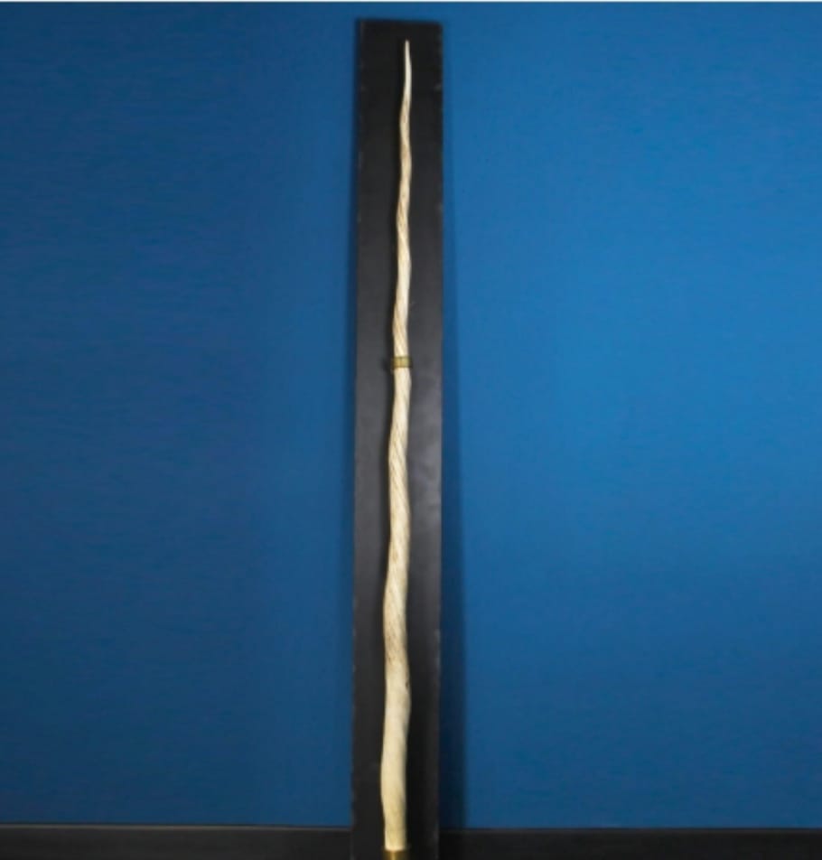 Authentic vintage narwhal tusk dating from the late 1970s